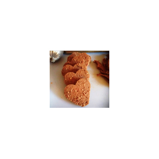 The Natural Healthy Nutrients Used in FourFriends Dog Foods
