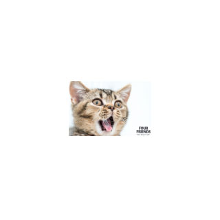 Five Reasons to Feed FourFriends Cat Food