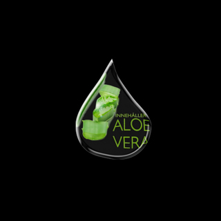 Is Aloe Vera Safe for Cats and Dogs?