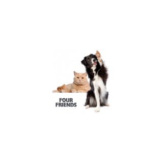 The Best Foods To Feed The Allergie Prone Pet