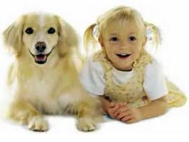 Can The Size Of A Dog Tell You Anything About The Owner?