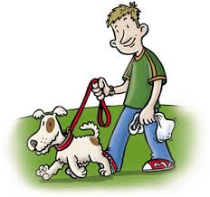 One in Four Dog Owners Don't Clean Up After Their Dog
