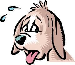 Keeping Your Dog Safe In Hot Weather