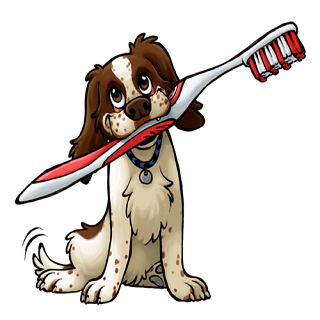 Three Tips on Top Canine Health