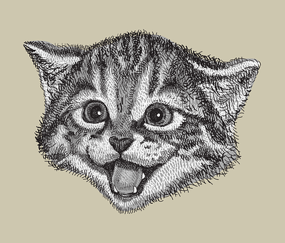 How do cats communicate with each other?