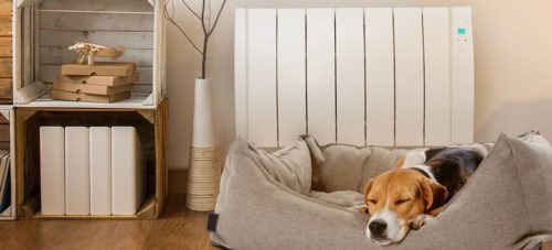 Does winter weather mean a change in my pets' diet?