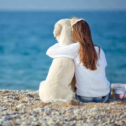 Why do dog owners have a lower risk of death from cardiovascular disease? 