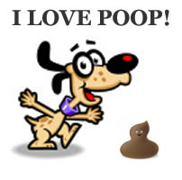 Achieving Less Waste From Your Dog