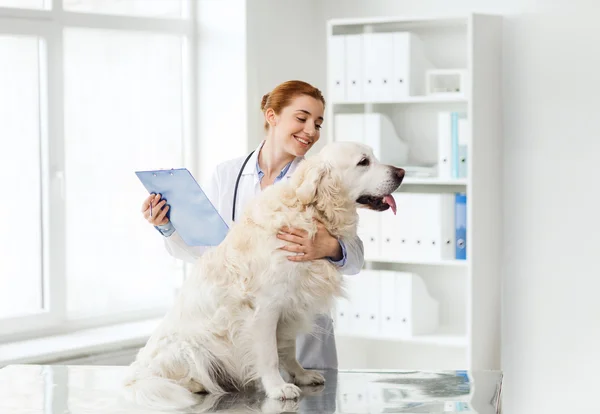 Lymphoma in dogs
