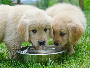 Water is Water?