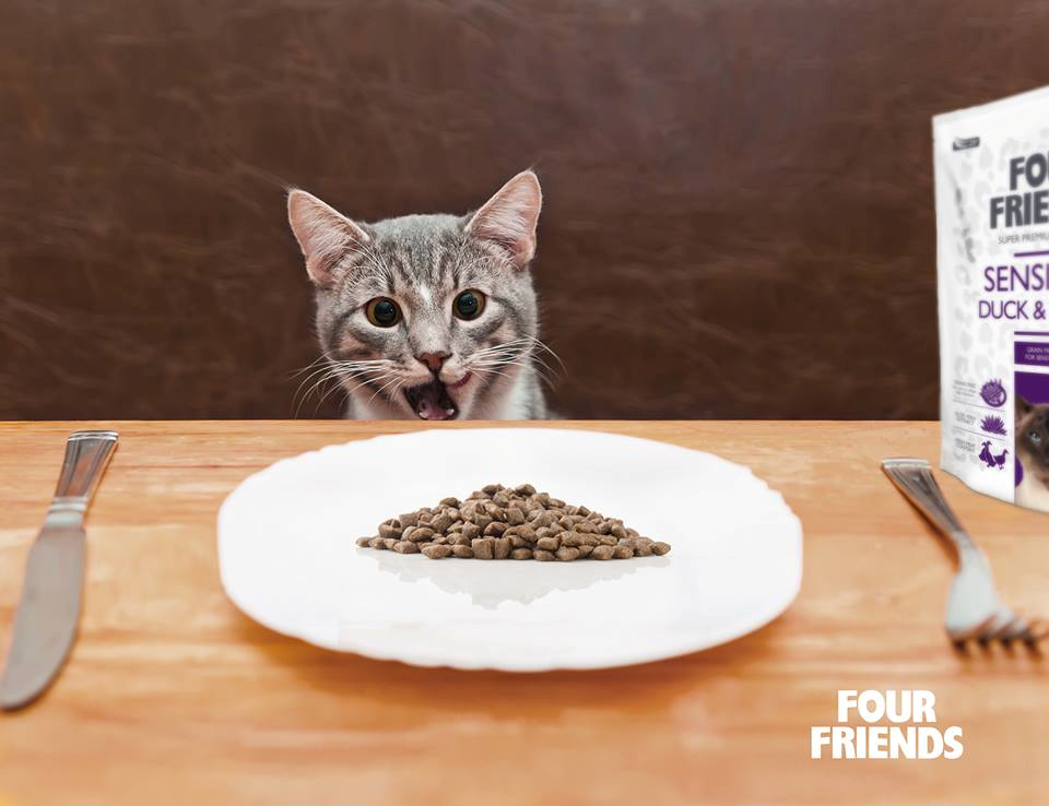 Cats and Carbohydrates