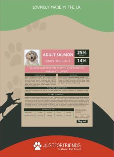 Adult Salmon Dog Food Sample Pack - 100g - £2.50