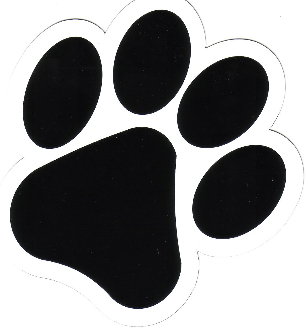 bellas-paw.jpeg
