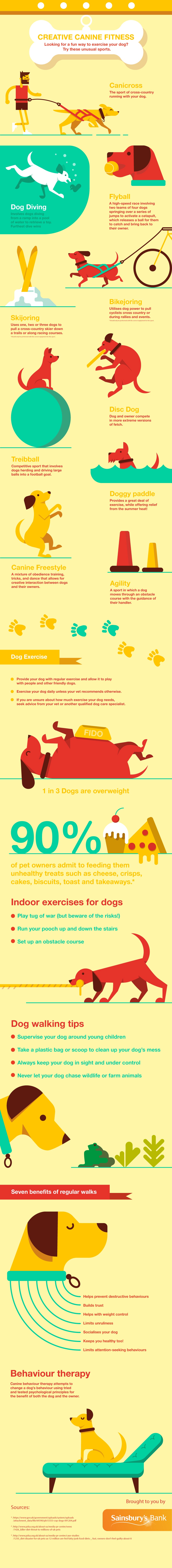 dog-exercise-(002).jpg