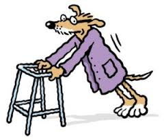 fourfriends-helping-the-arthritic-dog.png