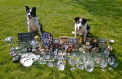kate-nicholas-dogs-winnings.png